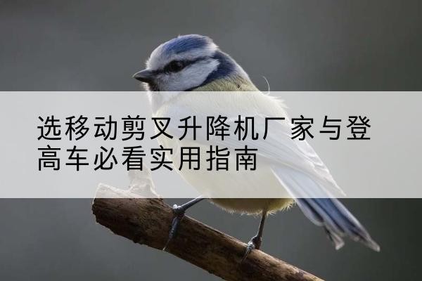 皮山电动升降机厂家-选移动剪叉升降机厂家与登高车必看实用指南