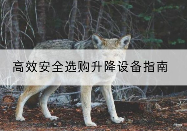 皮山升降货梯厂家推荐-*安全选购升降设备指南