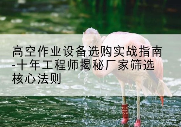 皮山剪叉式升降机厂家-高空作业设备选购实战指南-十年工程师揭秘厂家筛选核心法则